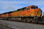 BNSF 4045 Roster shot